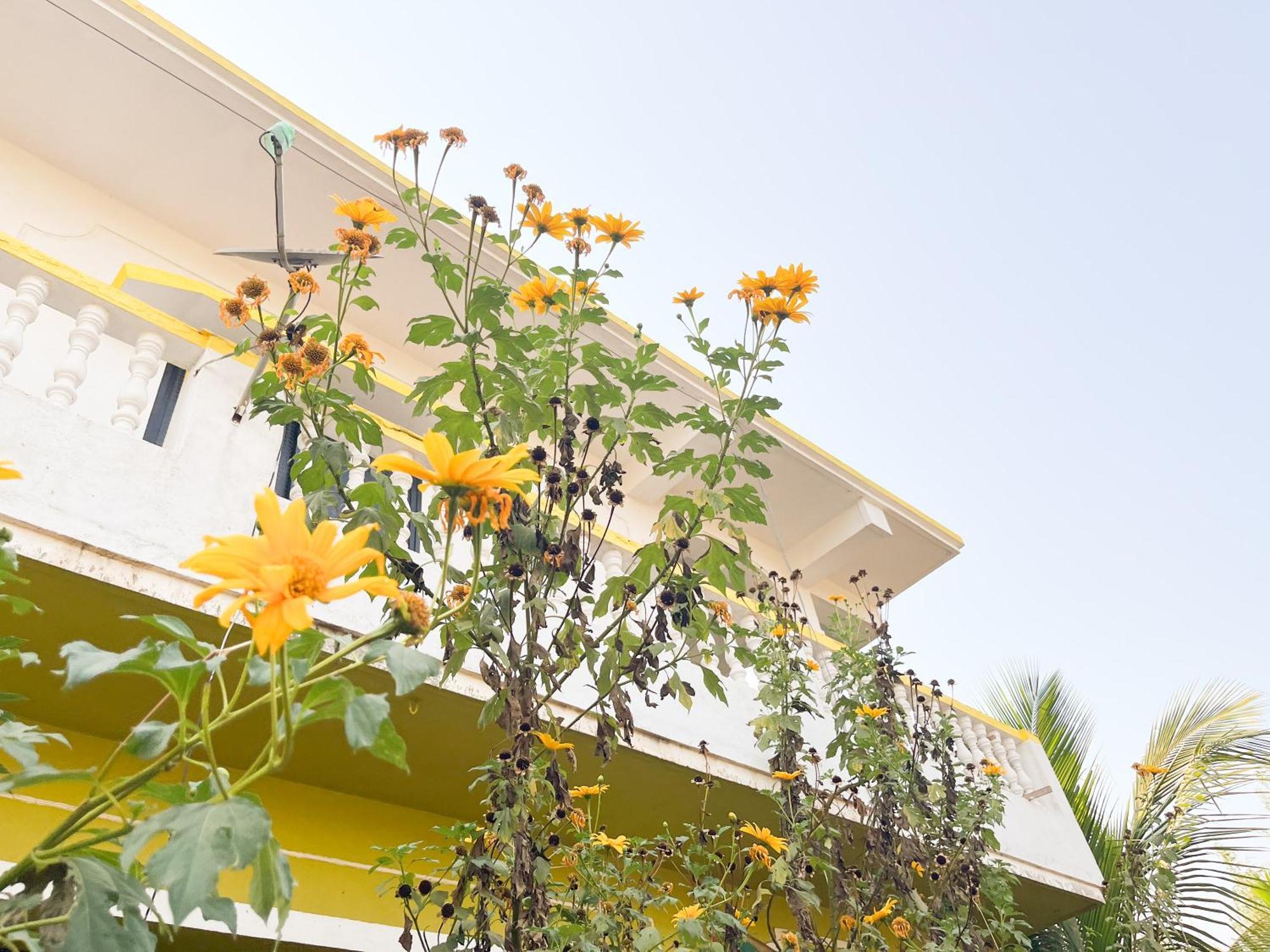 Evaddo Homes Mandrem Exterior foto