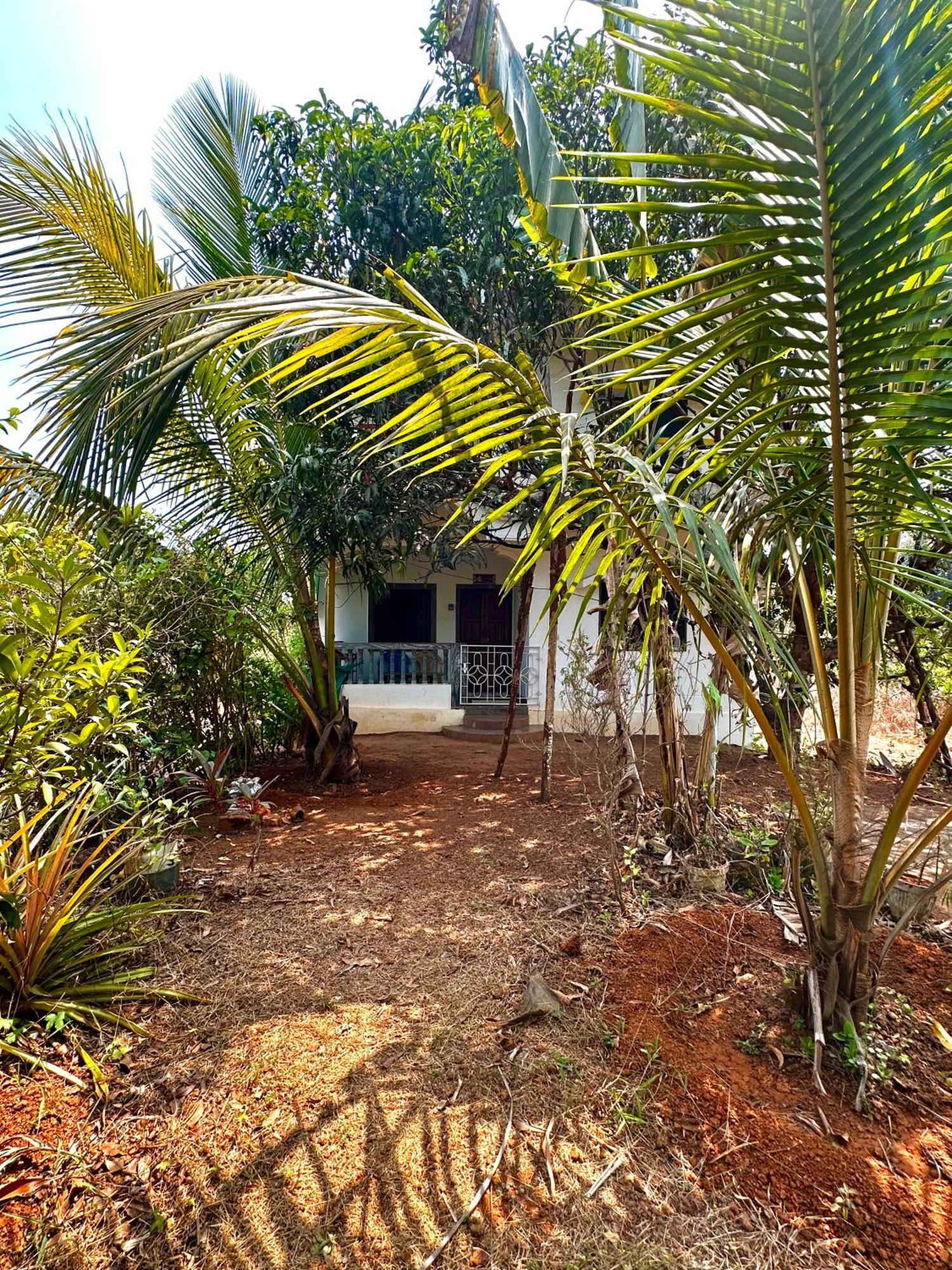 Evaddo Homes Mandrem Exterior foto